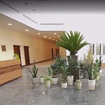 دفتر تحقیق و توسعه